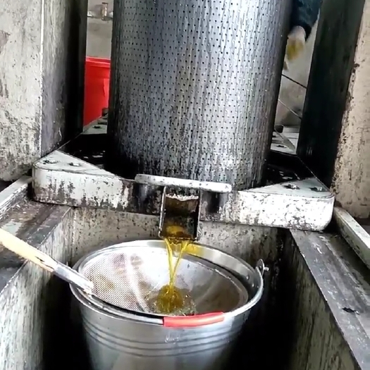 鄱阳县山茶油