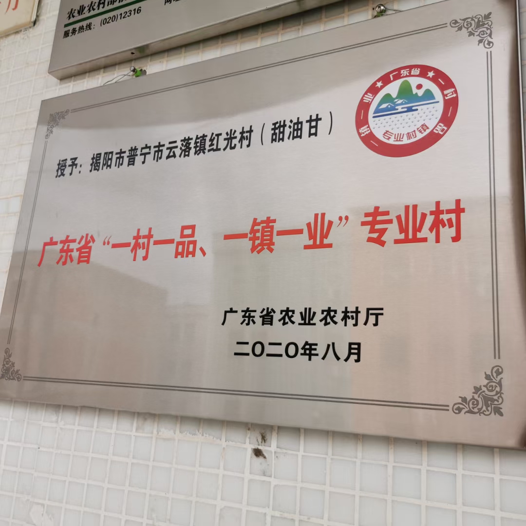 潮汕原产地一手货源当季甜油甘果大量上市广东包邮