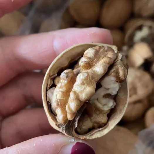 成都炒核桃 新疆特产 阿克苏核桃 手剥核桃