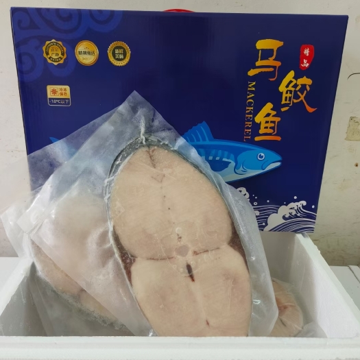 海口鲅鱼  马鲛鱼 马鲛鱼片