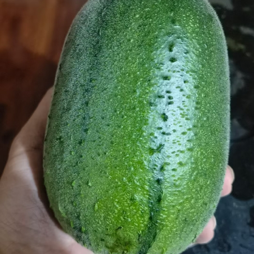 漳州苹果丝瓜，基地种植。各种规格打包。期待跟老板合作。