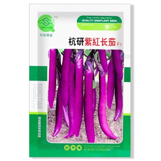 沭阳县杭研紫红长茄种子产早熟口感好超长线茄绵软四季种蔬菜种籽
