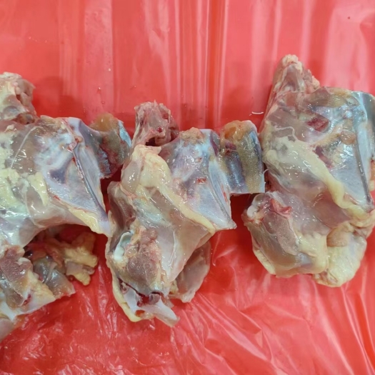 郑州大象鸡架（半架）