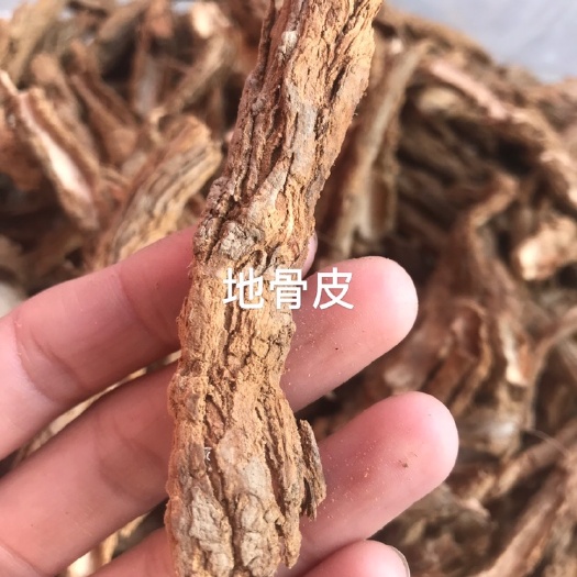 地骨皮2025年新货   水洗蒸过后自然晒干  实拍图片～