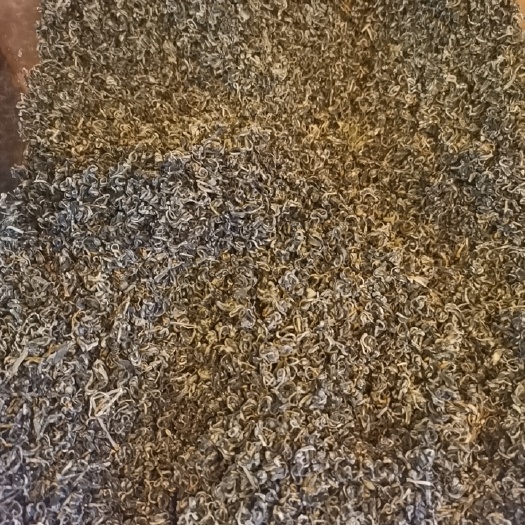 靖远县枸杞芽尖茶