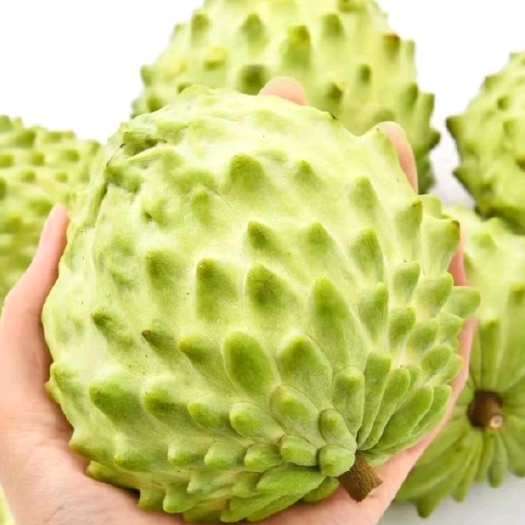 昆明释迦果