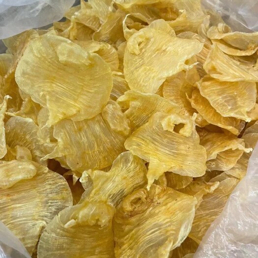 广州湛江赤嘴母14-15头