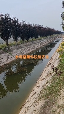 大荔县土地流转