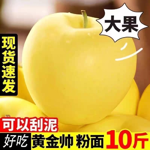 黄元帅苹果水果黄奶油金帅金冠萍果新鲜奶油富士苹果非青苹果