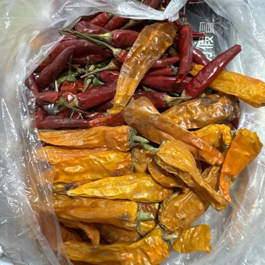 吐鲁番天鹰椒，子弹头工业黄辣椒（提辣）