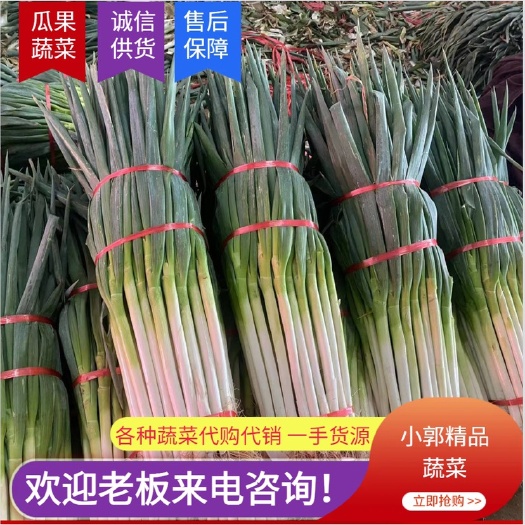 邯郸永年 大葱。万亩基地 欢迎洽谈合作