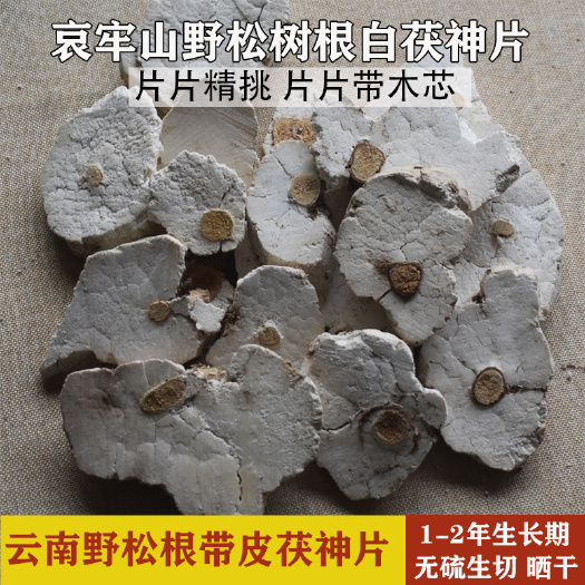 茯神片  云南松根茯神 生切晒干 片片都带木芯