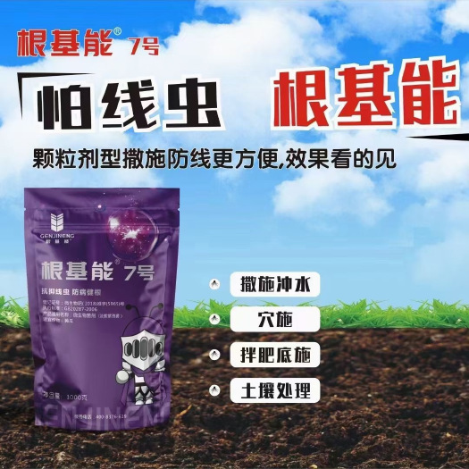 商丘根结线虫撒施专用药大棚穴施冲施根线虫药淡紫紫饱菌