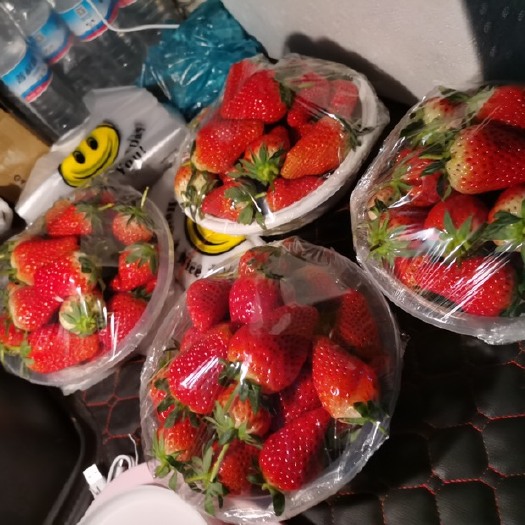 济南草莓 济南历城张而唐王草莓