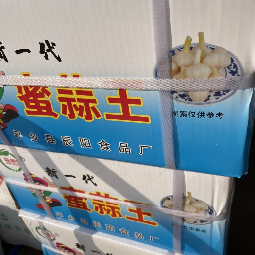 重庆市糖蒜