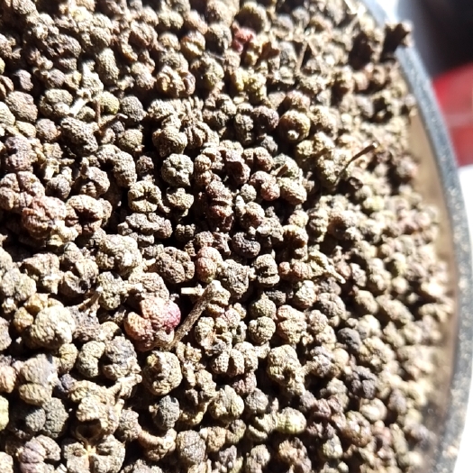 罗城县吴茱萸，干燥无杂质，无硫，太阳光晒干