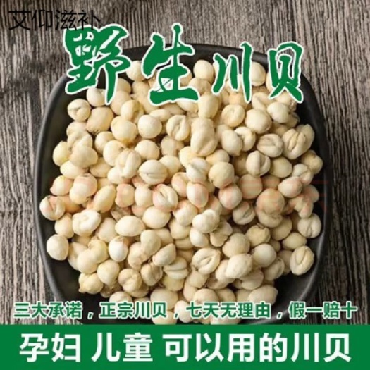 小金县正宗川贝