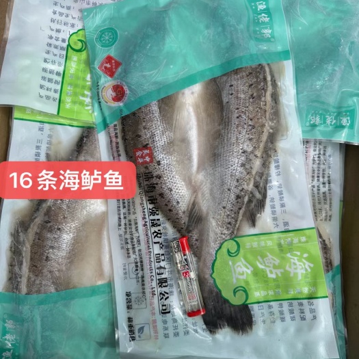 海鲈鱼