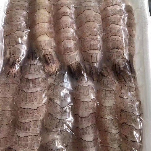连云港手剥生冻皮皮虾肉