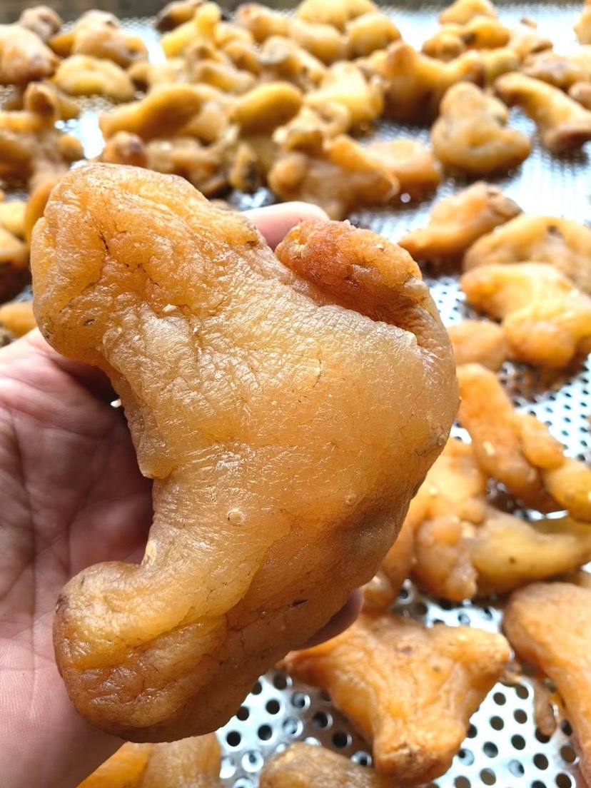 昆明2023年云南滇黄精个子黄精片新鲜黄精专业加工批发可一件代发