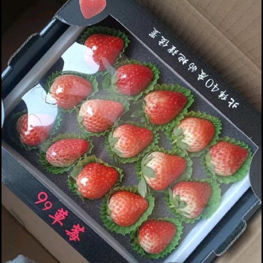 东港市丹东红颜九九草莓礼盒
