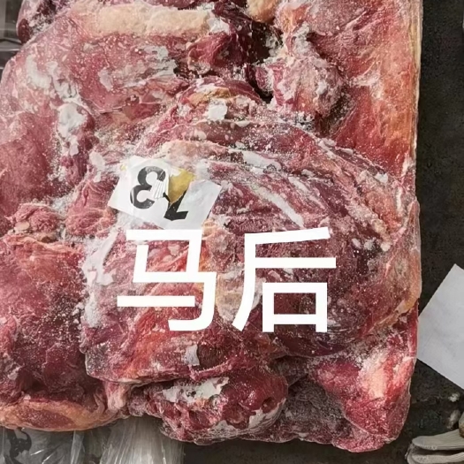 郑州外蒙马肉，价格美丽