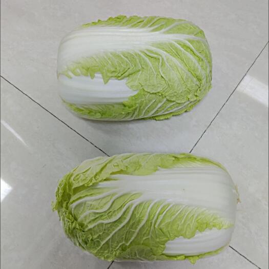 胶州市批发胶州大白菜。单颗净重5斤，2元钱一颗。整车代发，按需定制