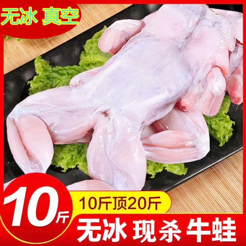 连云港牛蛙鲜活现杀新鲜冷冻真空无冰衣麻辣牛蛙即食一整箱商用半成品