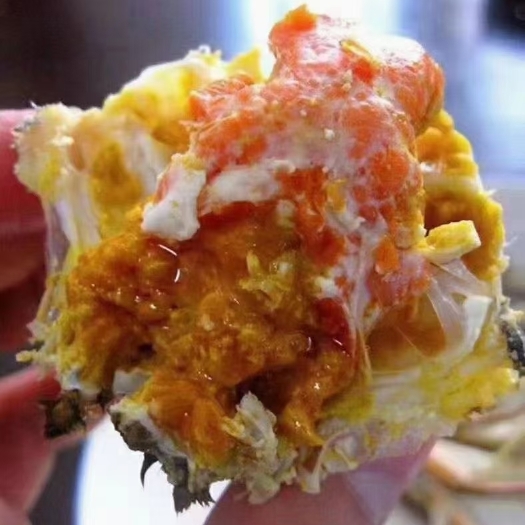 当涂县毛母0.5到1.2