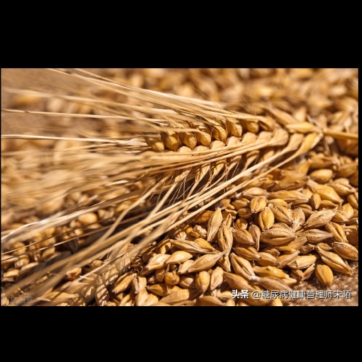 民乐县优质大麦出售，有意者联系