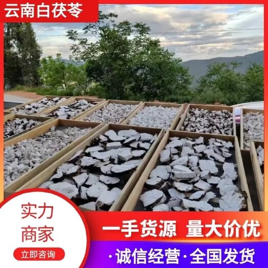 云南白茯苓 伏神 无硫 自产自销 无中间商 欢迎咨询