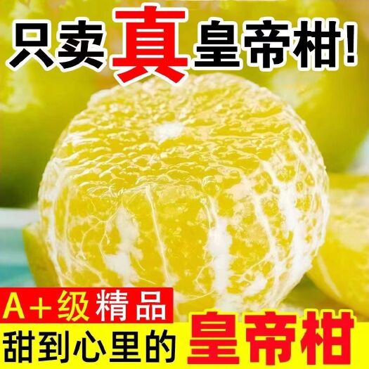 【超甜】皇帝柑新鲜水果桔贡柑橘子整箱批发应季时令薄皮