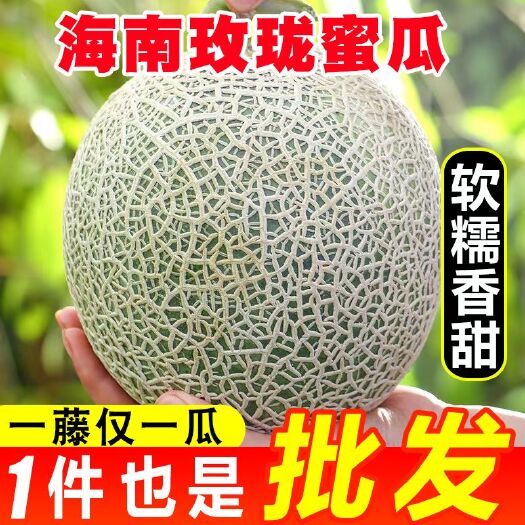 海口海南网纹蜜瓜玫珑瓜软糯香甜梅陇瓜静冈冰激凌哈密瓜新鲜水果批发