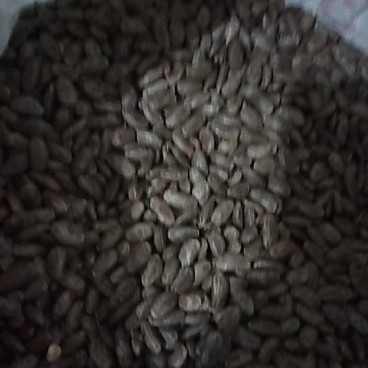 崇阳县吊瓜子