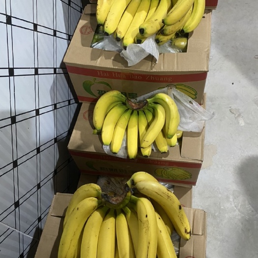最新赶集亮货！