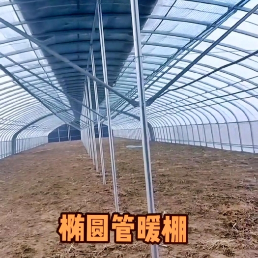 天津大棚钢管，养殖棚，种植棚