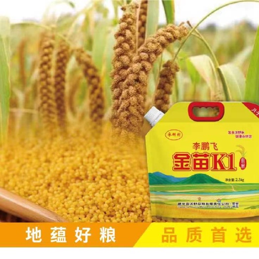 永刚村小米