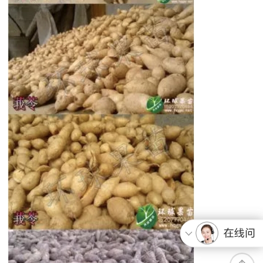 灵山县莪苓