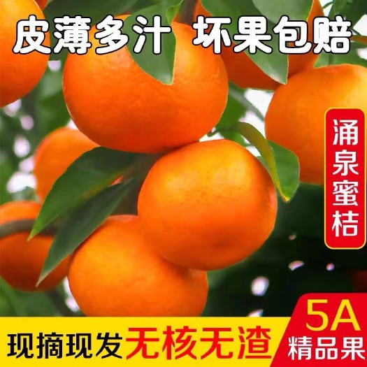 临海市涌泉蜜橘，自然成熟，不打蜡，不催熟，皮薄多汁，现摘现发，