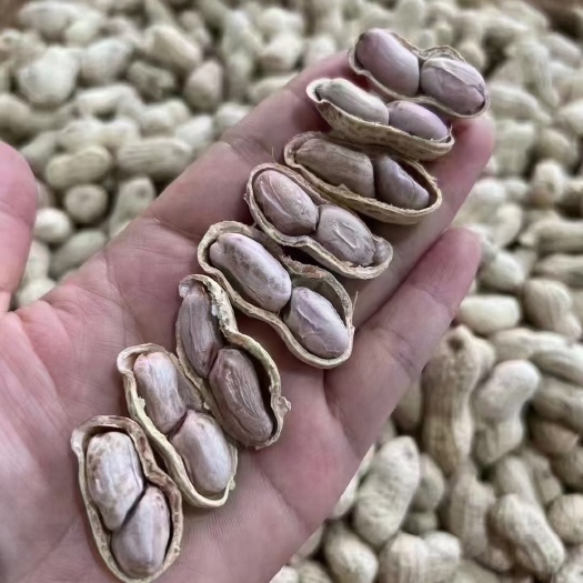 白玉咸干水煮花生咸干好吃