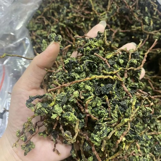 安溪县新枞(消清味)铁观音
