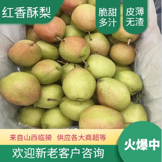 临猗县临猗坡上红香酥梨，酥脆一号产地直发，脆甜多汁
