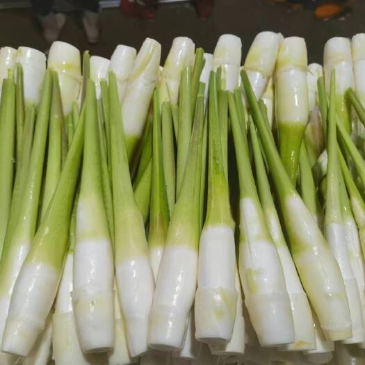 漳州茭白。基地种植，支持各种规格打包，期待更多老板合作。