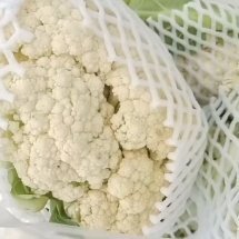 枝江市松花菜