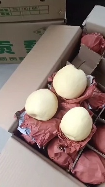 蒲城县酥梨，