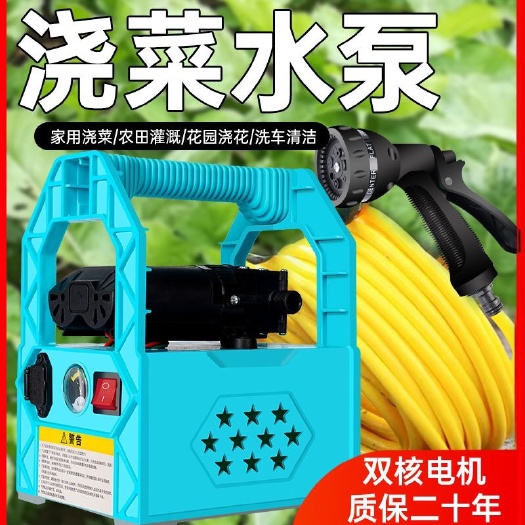 电动喷雾器农用高压打药机手提式充电果树抽水洗车机隔膜双泵机器