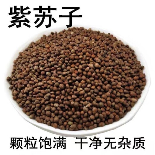 亳州中药材紫苏子食用批发苏子粒熟紫苏籽粉可吃紫苏子烧烤生紫苏子粉