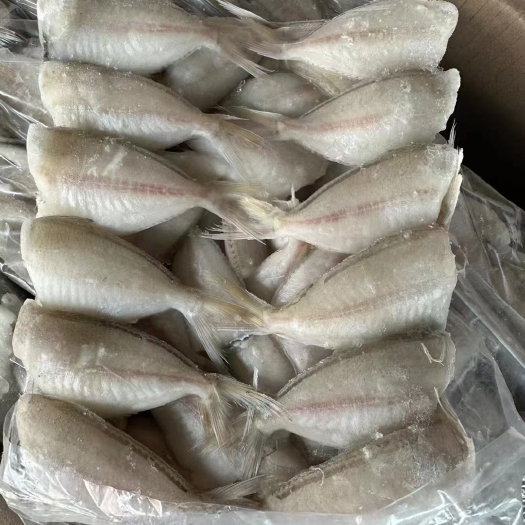 连云港海鲜冻品小耗鱼马面鱼冷冻玻璃鱼新鲜剥皮鱼扒皮鱼无头鱼包冰批发