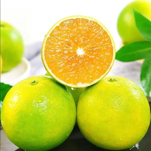 昆明冰糖橙/基地一件代发/云南特产/云南冰糖橙自然成熟