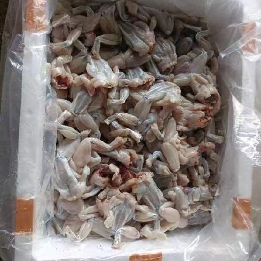 汕头生鲜冰鲜牛蛙肉，价格实惠，全国供应